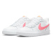 Nike Court Borough Low 2