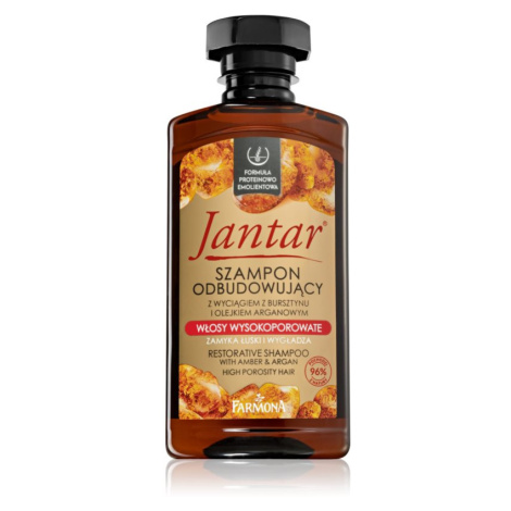 Farmona Jantar High Porosity Hair vyživující šampon pro lesk a hebkost vlasů 330 ml