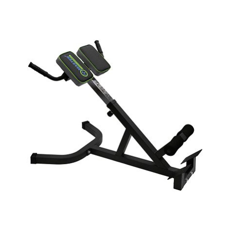 Posilovací lavice MASTER Hyperextenze Bench 45