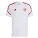 Pánské tričko FC Bayern Training M HB0635 - Adidas
