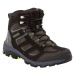 Pánské boty Jack Wolfskin Vojo 3 Texapore Mid M