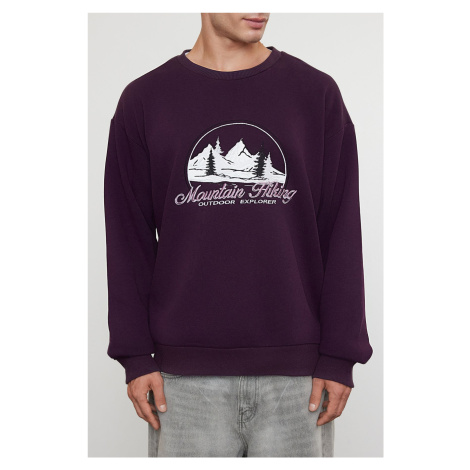 Trendyol Purple Oversize/Wide Cut Embroidered Fleece/Warm Sweatshirt