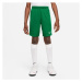 Nike DRI-FIT PARK III Chlapecké fotbalové kraťasy, zelená, velikost