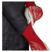 Brankářské rukavice adidas X Glove Pro Červená / Bílá
