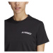 adidas Terrex Graphic Mtn 2.0 Tee