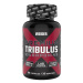 Weider Premium Tribulus 90% Saponins 90 kapslí stimulant testosteronu Varianta: