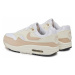 Nike Air Max 1 '87 W DZ2628-101