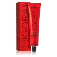 Schwarzkopf Professional IGORA Royal barva na vlasy odstín 6-88 Dark Blonde Red Extra 60 ml