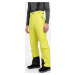 Pánské lyžařské kalhoty 4FH4Z22-SPMN001 zelené