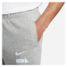 Nike CLUB+ Pánské šortky, šedá, velikost