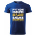 Pánské tričko pro programátory Python developer