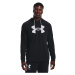 Pánská mikina Under Armour Rival Terry Logo Hoodie