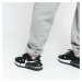 Nike Sportswear W Essential Dk Grey Heather/ White