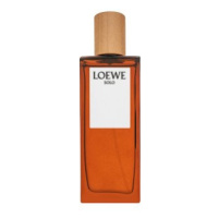 Loewe Solo Loewe Pour Homme toaletní voda pro muže 50 ml