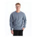 LC Waikiki Lcw Men's Crew Neck Long Sleeve Printed Sweatshirt