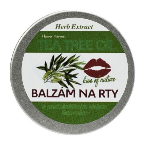 Vivaco Herb extrakt Balzám na rty s Tea Tree Oil HERB EXTRACT 25 g
