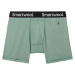 Smartwool Men's Merino Boxer Brief Boxed Sage Termoprádlo