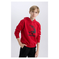 DEFACTO Boy's Sweatshirt