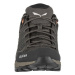 Salewa Mtn Trainer Lite Gtx Hnědá