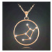 Stříbrný pozlacený náhrdelník znamení panna Minet Stars JMAS9509RN45