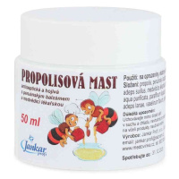 Dr. Bojda Propolisová mast s peruánským balzámem a medvědicí 50 ml