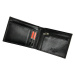 Pánská kožená peněženka Pierre Cardin YS507.1 88061 RFID černá
