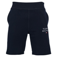 Tommy Hilfiger TH ORIGINAL-SHORT HWK Pánské šortky, tmavě modrá, velikost