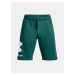 Tmavě zelené pánské sportovní kraťasy Under Armour UA Rival Flc Big Logo Shorts