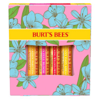 Burt’s Bees In Full Bloom sada na rty