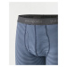 Patagonia M's Essential Boxer Briefs - 3" Fathom Stripe: New Navy