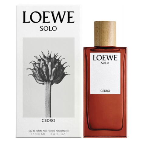 Loewe Solo Loewe Cedro - EDT 100 ml