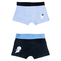 Yoclub Kids's Cotton Boys' Boxer Briefs Underwear 2-pack BMB-0012C-AA30-001