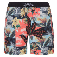 Protest Prtlocklan Beachshort