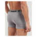 Freegun BOXERS COTON P2 X4 Černá