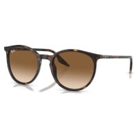 Ray-Ban RB2204 902/51 - (54-20-145)