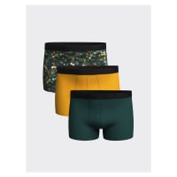 LC Waikiki Standard Mold Flexible Fabric Men's Boxer 3-Piece