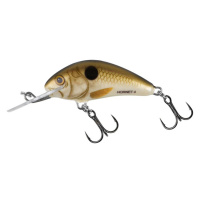 Salmo wobler hornet floating pearl shad - 5 cm