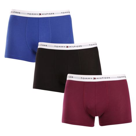 3PACK pánské boxerky Tommy Hilfiger vícebarevné (UM0UM02761 0T7)