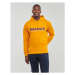 Timberland 50th Anniversary Est. 1973 Hoodie BB Sweatshirt Regular Žlutá