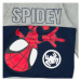 Name it NMMJUBI SPIDEY SWEAT UNB MAR Šedá