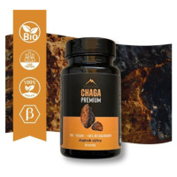 Chaga Hrotlife 60 kapslí
