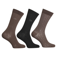 3PACK ponožky Calvin Klein vícebarevné (701224107 002)