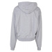 Classics College Hoody - grey