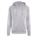 Adidas Tiro 24 Training Hooded M mikina IR7551 pánské