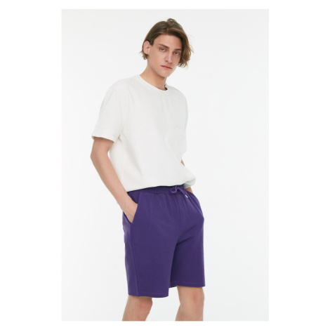 Trendyol Purple Men's Regular Fit Textured Shorts & Bermuda
