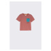 Dětské bavlněné tričko Coccodrillo vínová barva, s potiskem