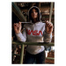 Mr. Tee Ladies NASA Worm Logo Hoody h.grey