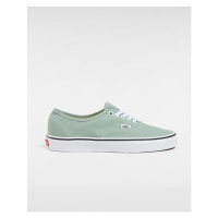 VANS Color Theory Authentic Shoes Unisex Green, Size