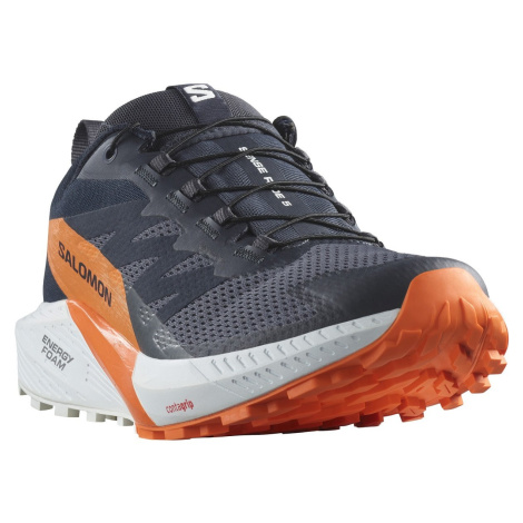 Salomon Sense Ride 5 GTX M L47459400 - india ink/carbon/dragon fire