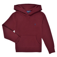 Polo Ralph Lauren LS PO HOOD-TOPS-KNIT Bordó